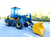 China Brand Small 2 Ton Wheel Loader Lw200fv with Spare Parts 
