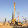 Xr220d Piling Machine Crawler Rotary Drilling Rig Price