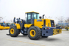 LW600KN-T25 Mini 25ton Stone Forklift Loader for Sale