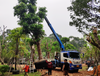  Sqs500b Telescopic Boom Lorry Truck Mounted Crane 