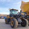 Brand New 4 Ton Lw400fn Mini Wheel Loader for Sale