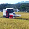 XR630/XR730 Corn Rice Combine Harvester Machine Price 