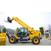 4.5 Ton Xc6-4517K China 16.7m Telescopic Boom Forklift Loader for Sale