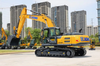 24.5ton Digging Machines Excavator Xe245dk