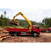 High Performance GSQS220-4 Truck Mounted Lorry Crane 15m Working Height Heavy Duty Mobile Crane for Engineering & Logistics